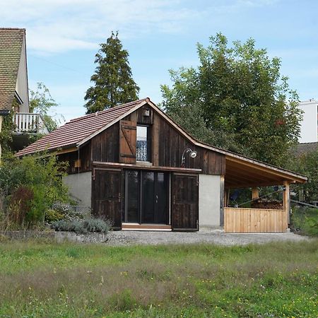 Tiny House Chez Claudine - Relaxen, Workspace, Naehe Thermen, Netflix, Free Parking & Wifi Brugg  Luaran gambar