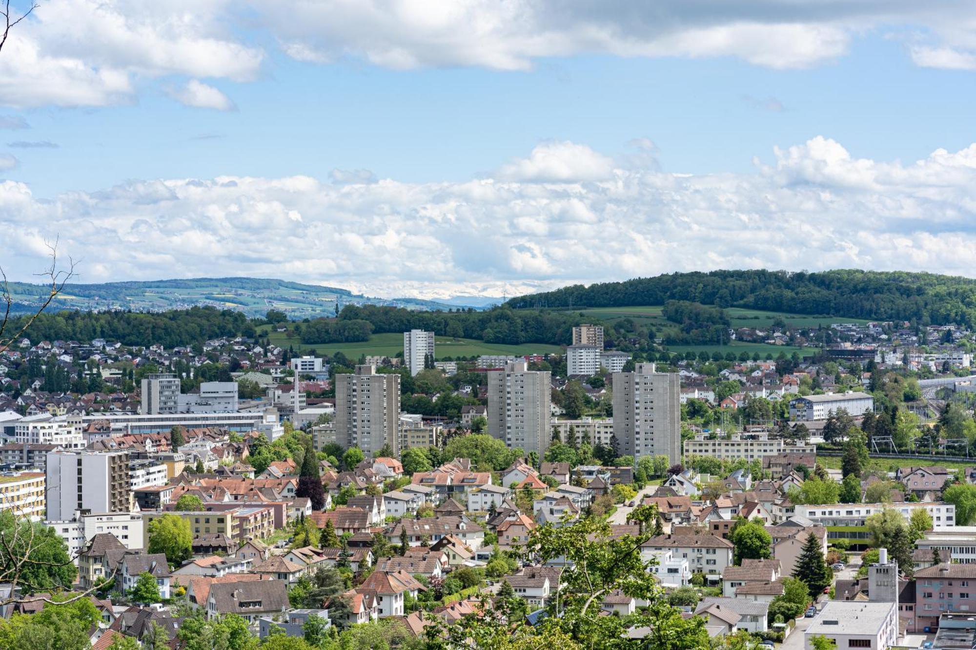Tiny House Chez Claudine - Relaxen, Workspace, Naehe Thermen, Netflix, Free Parking & Wifi Brugg  Luaran gambar