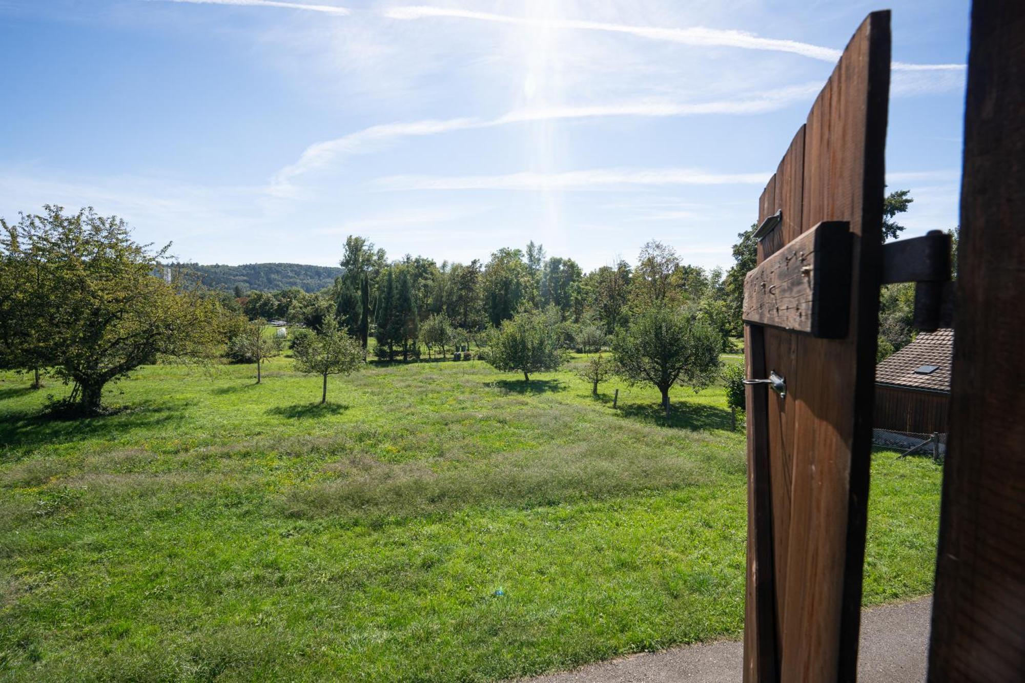 Tiny House Chez Claudine - Relaxen, Workspace, Naehe Thermen, Netflix, Free Parking & Wifi Brugg  Luaran gambar